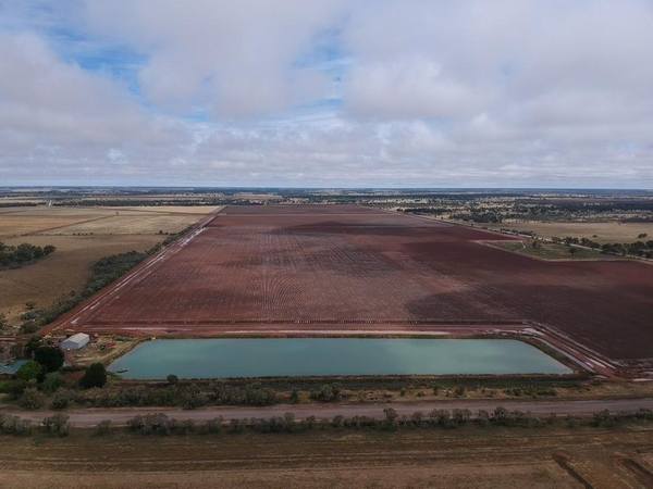 647 Ercildoune Road, Coleambally NSW 2707