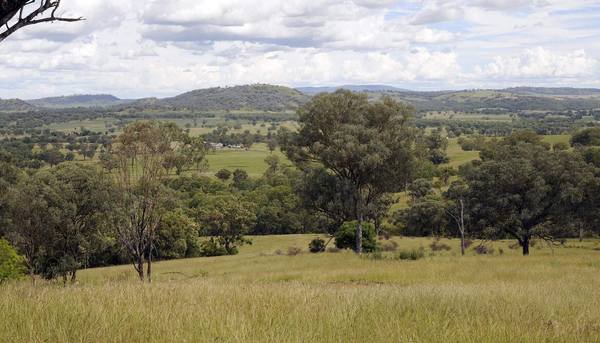 1520 Trevallyn Road, Barraba NSW 2347
