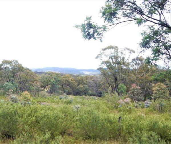 Lot 147 Tredegar Road, Bombala NSW 2632
