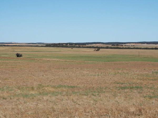 Sandalwood Road, Sandalwood SA 5309