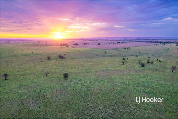 1408 Bindango Road, Roma QLD 4455