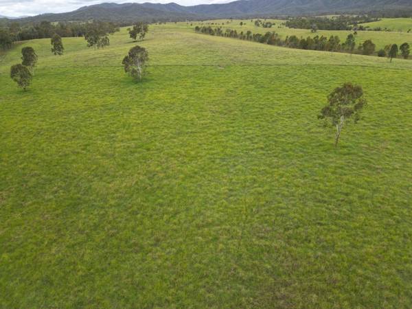 181 Kantaka Road, Molangul, Gin Gin QLD 4617