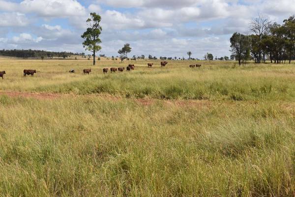 6058 Defence Road, Cracow QLD 4719