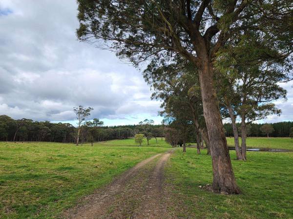 Hampton NSW 2790
