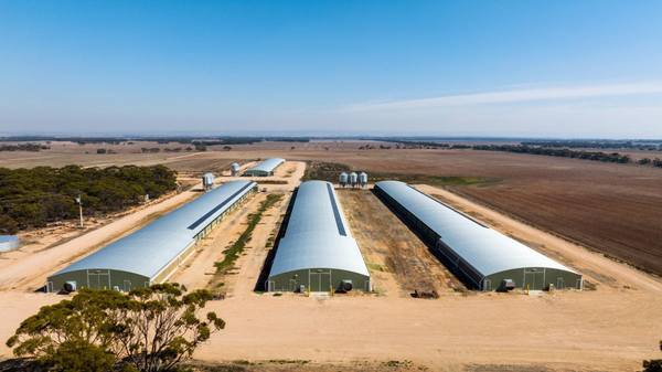 Section 237 Rathjen Road, Mypolonga SA 5254