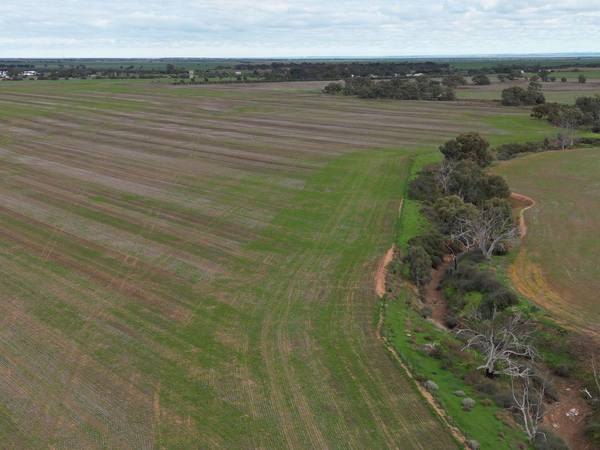 Bowmans Road & Borlace Road, Bowmans SA 5550