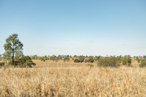 6614 Carnarvon Highway, Roma QLD 4455