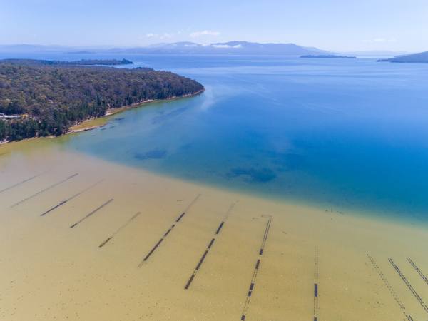 Sharps Road, South Bruny TAS 7150