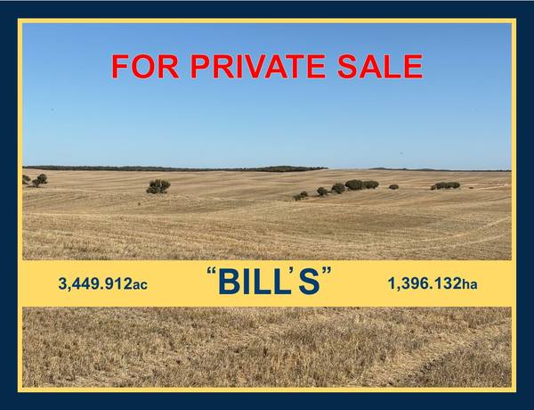 Hiscock's / O'Dea's / Zanker's Roads, Netherby Via Nhill – West Wimmera VIC 3418