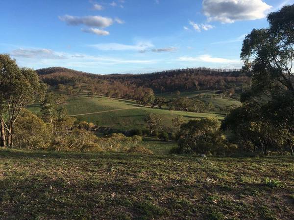 Lot 37 Good Good Road, Peak View NSW 2630