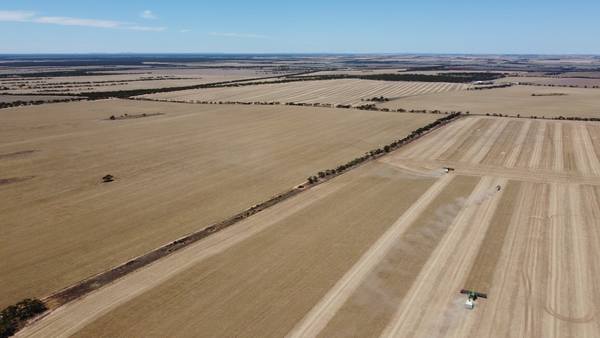 42666 Eyre Highway, Mudamuckla SA 5680