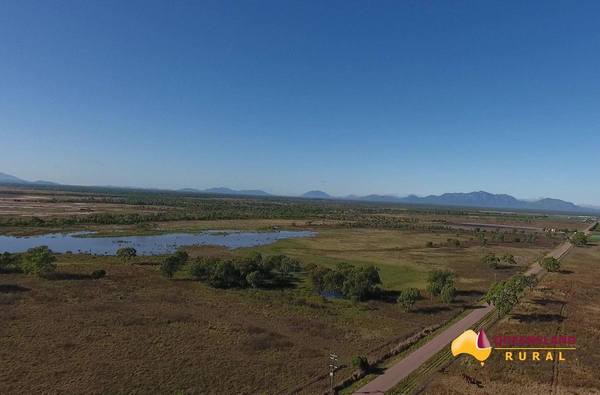 Molongle Station, Gumlu QLD 4805