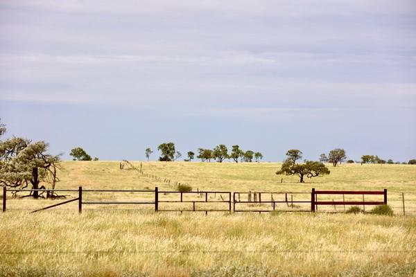 2308 Morella-Silsoe Rd, Longreach QLD 4730