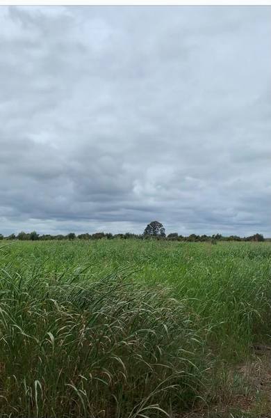 Woltmanns and Paines Road , Durong QLD 4610