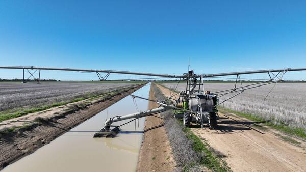 Smeatonvale Laterals Boree-Morago Road, Deniliquin NSW 2710