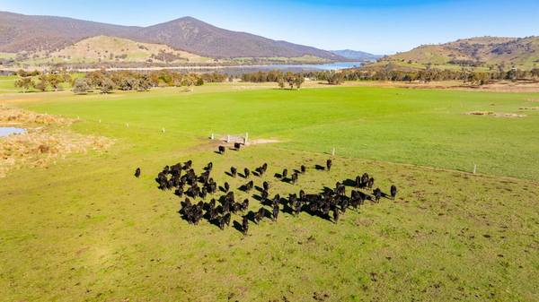 2445 Wymah Road, Wymah NSW 2640