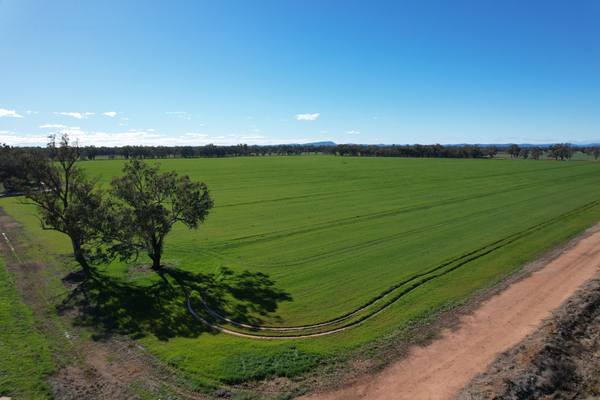 8065 Lachlan Valley Way, Forbes NSW 2871