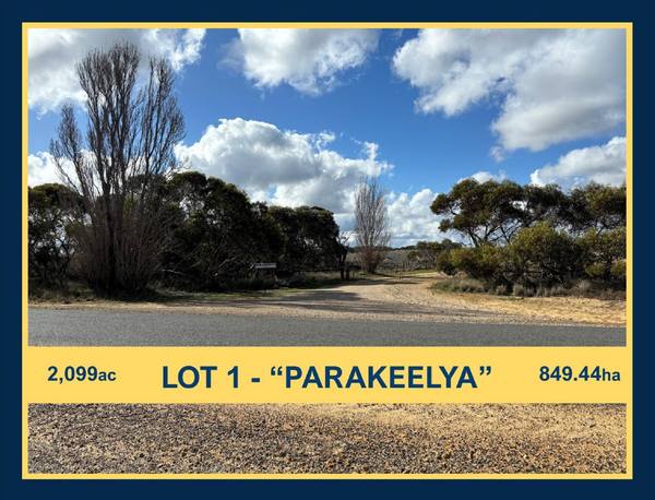 NHILL-MURRAYVILLE ROAD, YANAC, Nhill VIC 3418