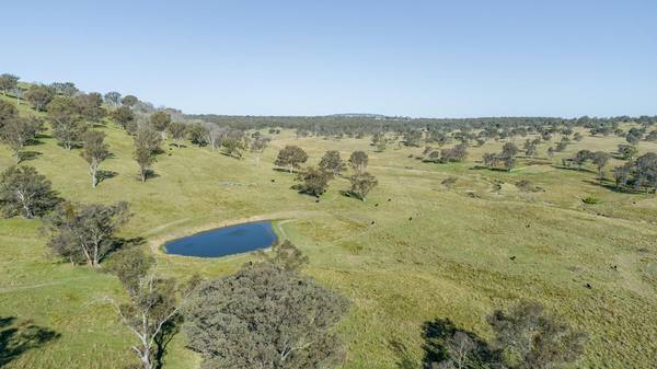 3956 Oxley Highway, Bendemeer NSW 2355