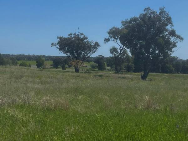 48 Furners Lane, Trewilga NSW 2869
