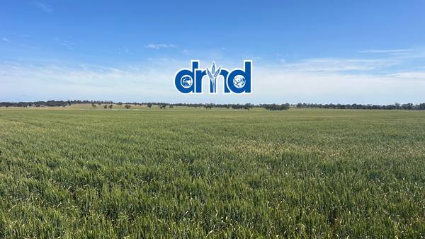 Diapur-Yanac Road, Nhill VIC 3418