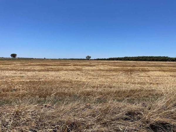Farm 1761, 846 Whitton to Darlington Point Road, Whitton NSW 2705