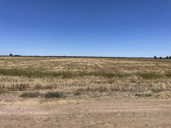 Farm 1764, 1390 Whitton to Darlington Point Road, Whitton NSW 2705