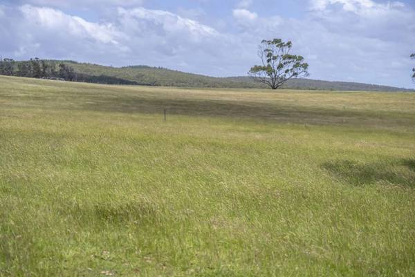 63 Red Road, Pipers River TAS 7252