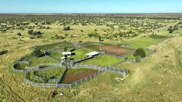 8041 Kilcummin-Diamond Downs Road, Pasha QLD 4721