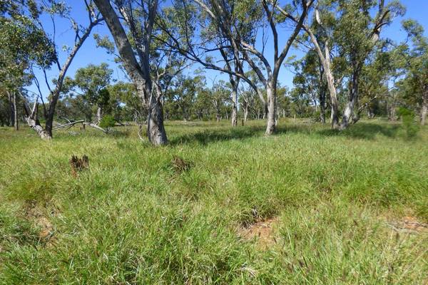 4631 Middle Creek Road, Langlo QLD 4470