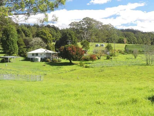 Dorrigo NSW 2453