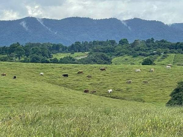 East Palmerston QLD 4860