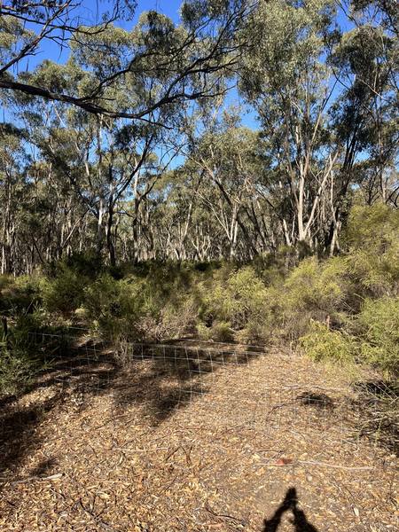 110 Peg Leg Gully Road, Maldon VIC 3463