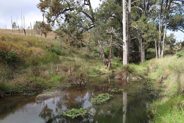 Lot 51 Tim Shea Creek Road, Wengenville QLD 4615