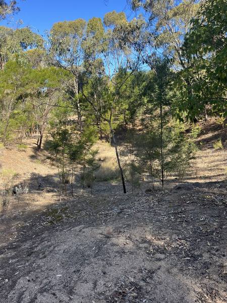 Steele Street, Maldon VIC 3463