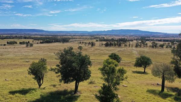 Come-By-Chance, Injune QLD 4454