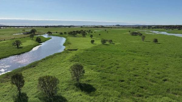 Pomona Road, Ingham QLD 4850