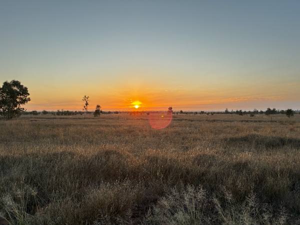 Mungallala South QLD 4467