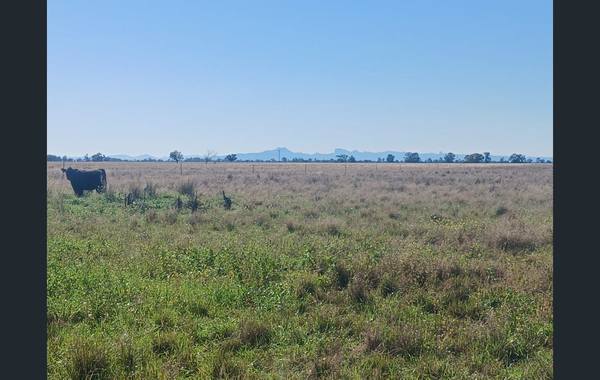 795 Armatree Road, Armatree NSW 2828