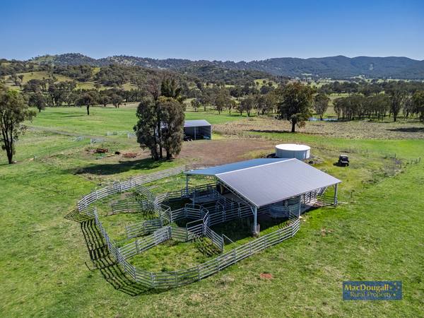 384 Dry Creek Road, Georges Creek NSW 2365