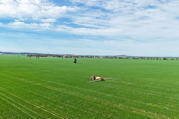 Ariah Park, Beckom, Ardlethan NSW 2665