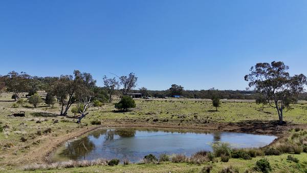 1385 Mosquito Creek Road, Warialda NSW 2402