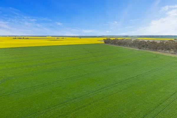3222 Darlington Carranballac Road, Carranballac VIC 3361