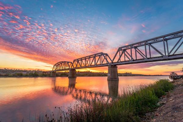 Perm SA RIVER MURRAY CLASS 1 (STOCK AND DOMESTIC) 8ML, Murray Bridge SA 5253