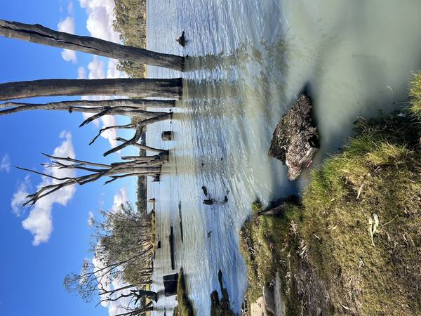 VIC Murray Zone 6, VIC VIC 0000