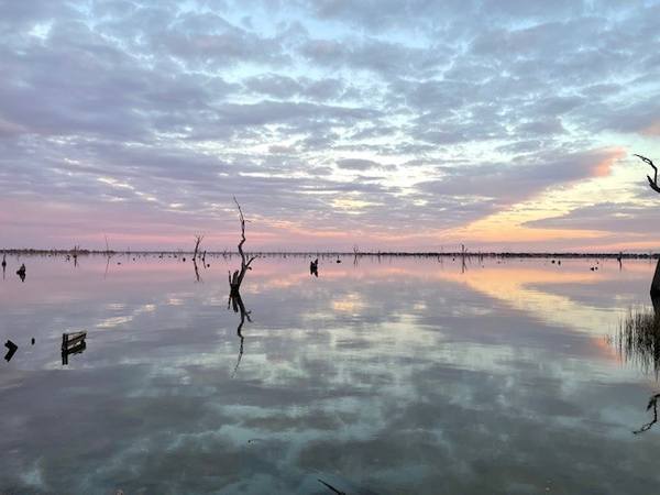 Perm 100ML 10 GS NSW Murray River, Mulwalla NSW 2647