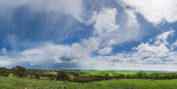 1126 Pattersons Road, Harefield NSW 2650