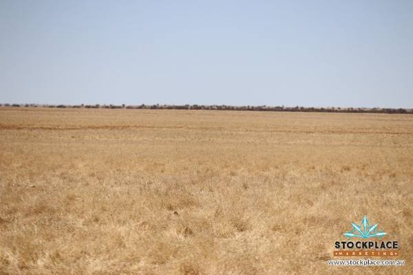 Richmond–Winton Highway, Richmond QLD 4822