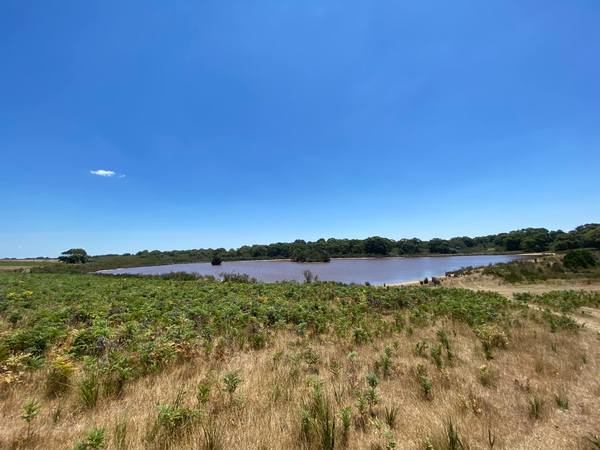 235 Mosquito Creek Road, French Island VIC 3921