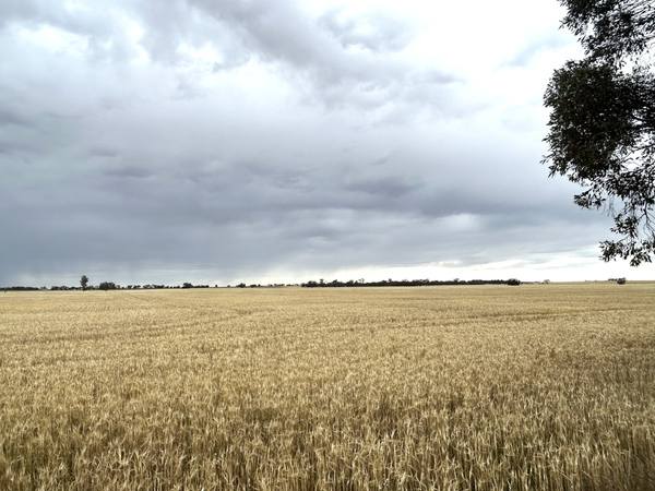 Halls Road, Nhill VIC 3418